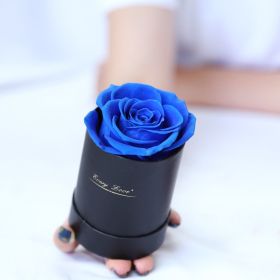 Preserved Flower Flower Pot 1 A- Grade Rose (Option: Black Blue Flower)